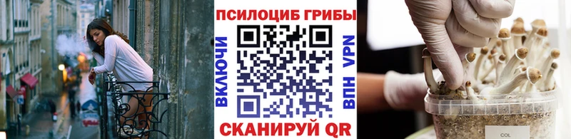 купить закладку  Томилино  Галлюциногенные грибы Magic Shrooms 