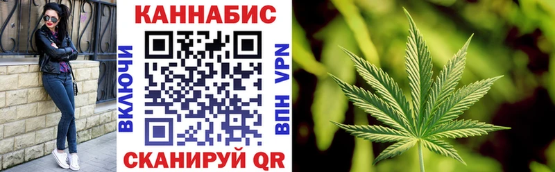 Каннабис сатива  Томилино 